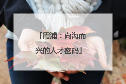 霞浦：向海而兴的人才密码