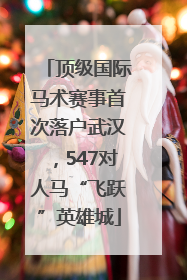 顶级国际马术赛事首次落户武汉，547对人马“飞跃”英雄城