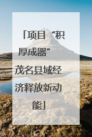 项目“积厚成器” 茂名县域经济释放新动能