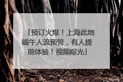 预订火爆！上海此地端午人流预警，有人提前体验！视频曝光