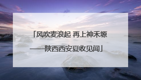 风吹麦浪起 再上神禾塬——陕西西安夏收见闻