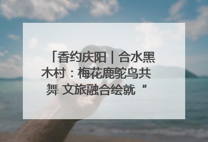 香约庆阳｜合水黑木村：梅花鹿鸵鸟共舞 文旅融合绘就“诗与远方”