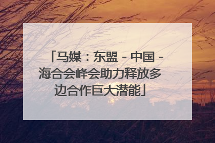 马媒：东盟－中国－海合会峰会助力释放多边合作巨大潜能