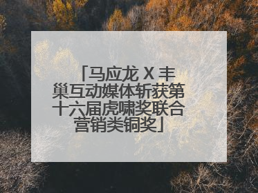 马应龙 X 丰巢互动媒体斩获第十六届虎啸奖联合营销类铜奖