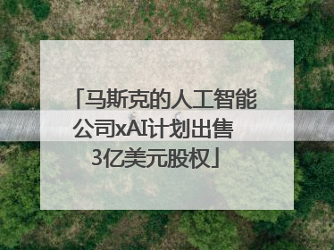 马斯克的人工智能公司xAI计划出售3亿美元股权