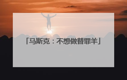 马斯克：不想做替罪羊