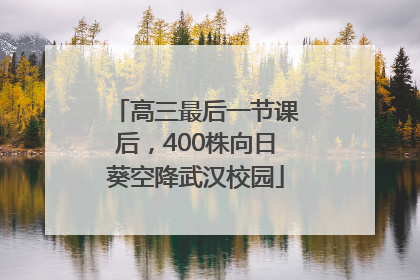 高三最后一节课后，400株向日葵空降武汉校园
