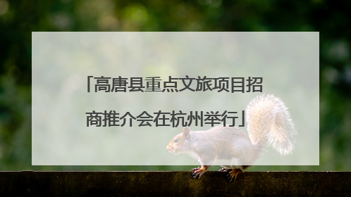 高唐县重点文旅项目招商推介会在杭州举行