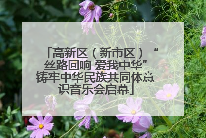 高新区（新市区）“丝路回响 爱我中华”铸牢中华民族共同体意识音乐会启幕