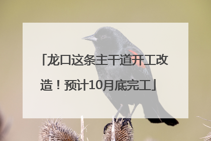 龙口这条主干道开工改造！预计10月底完工
