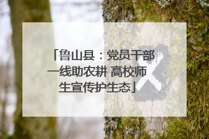 鲁山县：党员干部一线助农耕 高校师生宣传护生态