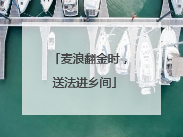 麦浪翻金时，送法进乡间