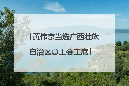 黄伟京当选广西壮族自治区总工会主席