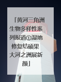 黄河三角洲生物多样性系列报道①湿地修复结硕果 大河之洲展新颜