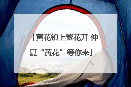 黄花镇上繁花开 仲夏“黄花”等你来