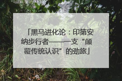 黑马进化论：印第安纳步行者——一支“颠覆传统认识”的劲旅