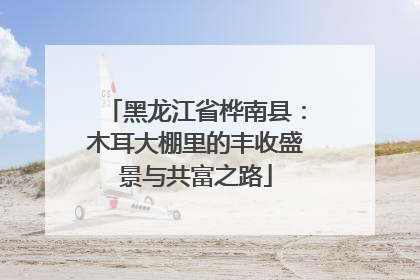 黑龙江省桦南县：木耳大棚里的丰收盛景与共富之路