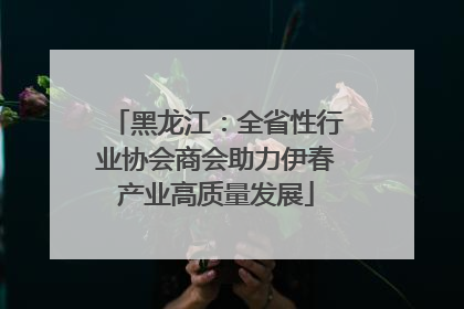 黑龙江：全省性行业协会商会助力伊春产业高质量发展