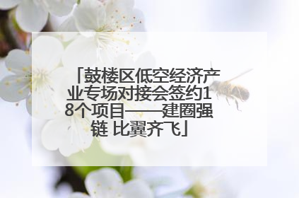 鼓楼区低空经济产业专场对接会签约18个项目——建圈强链 比翼齐飞