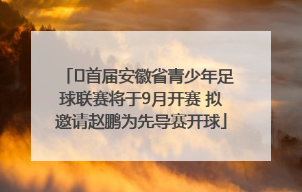 ﻿首届安徽省青少年足球联赛将于9月开赛 拟邀请赵鹏为先导赛开球