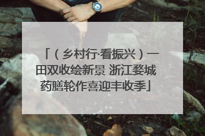 （乡村行·看振兴）一田双收绘新景 浙江婺城药膳轮作喜迎丰收季