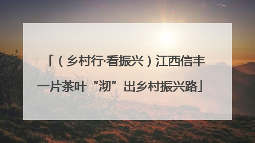 （乡村行·看振兴）江西信丰一片茶叶“沏”出乡村振兴路