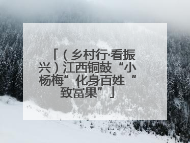 （乡村行·看振兴）江西铜鼓“小杨梅”化身百姓“致富果”