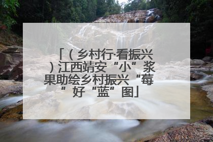 （乡村行·看振兴）江西靖安“小”浆果助绘乡村振兴“莓”好“蓝”图