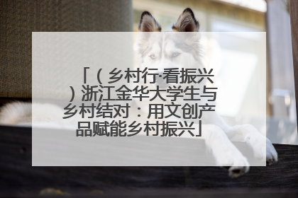 （乡村行·看振兴）浙江金华大学生与乡村结对：用文创产品赋能乡村振兴
