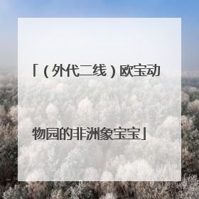 （外代二线）欧宝动物园的非洲象宝宝