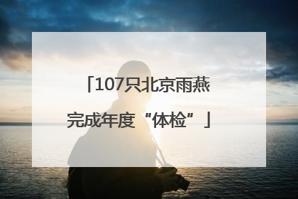 107只北京雨燕完成年度“体检”