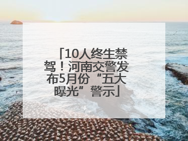 10人终生禁驾！河南交警发布5月份“五大曝光”警示