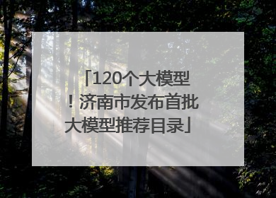 120个大模型！济南市发布首批大模型推荐目录