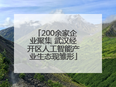 200余家企业聚集 武汉经开区人工智能产业生态现雏形