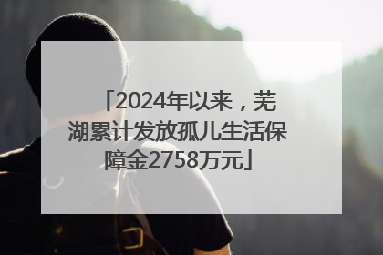 2024年以来，芜湖累计发放孤儿生活保障金2758万元
