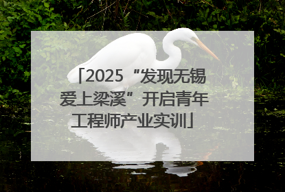 2025“发现无锡 爱上梁溪”开启青年工程师产业实训