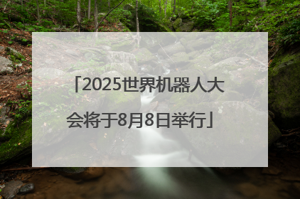 2025世界机器人大会将于8月8日举行