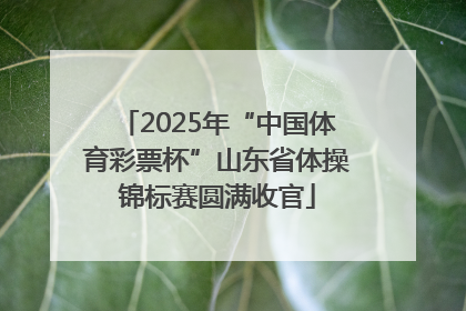 2025年“中国体育彩票杯”山东省体操锦标赛圆满收官