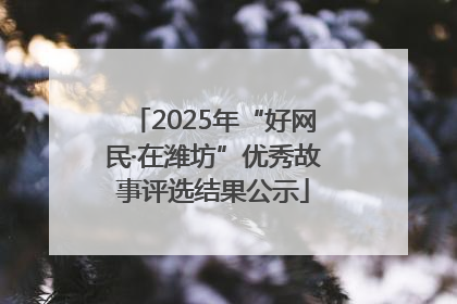 2025年“好网民·在潍坊”优秀故事评选结果公示