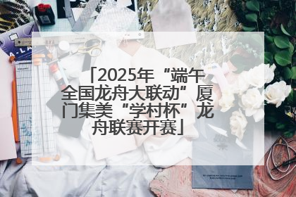 2025年“端午全国龙舟大联动”厦门集美“学村杯”龙舟联赛开赛