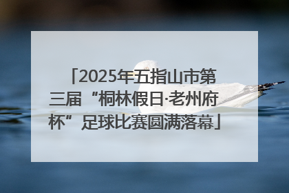 2025年五指山市第三届“桐林假日·老州府杯”足球比赛圆满落幕