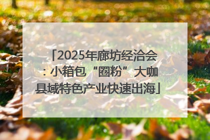 2025年廊坊经洽会：小箱包“圈粉”大咖 县域特色产业快速出海