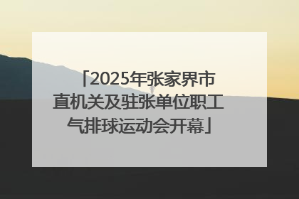 2025年张家界市直机关及驻张单位职工气排球运动会开幕