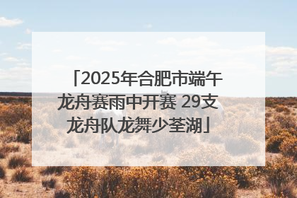 2025年合肥市端午龙舟赛雨中开赛 29支龙舟队龙舞少荃湖