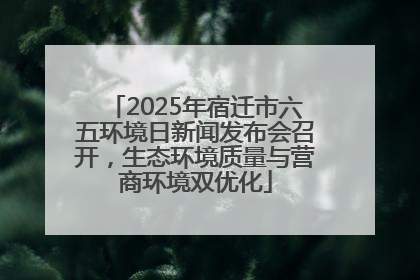 2025年宿迁市六五环境日新闻发布会召开，生态环境质量与营商环境双优化