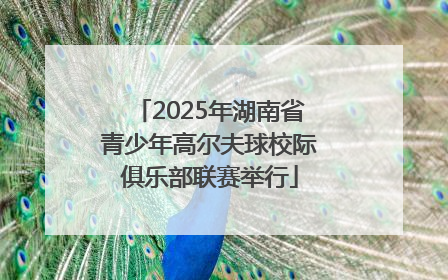 2025年湖南省青少年高尔夫球校际俱乐部联赛举行
