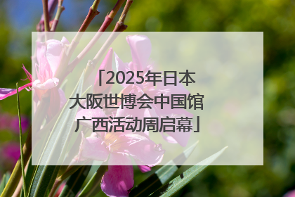 2025年日本大阪世博会中国馆广西活动周启幕