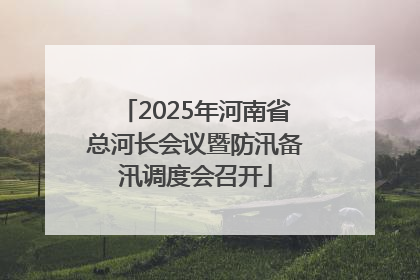 2025年河南省总河长会议暨防汛备汛调度会召开