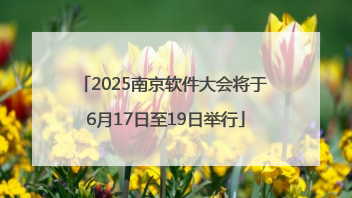 2025南京软件大会将于6月17日至19日举行