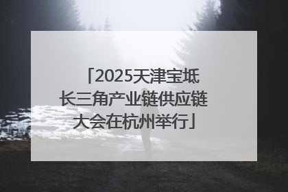 2025天津宝坻长三角产业链供应链大会在杭州举行